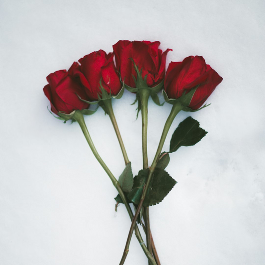 Fresh Cut Roses Reed Diffuser
